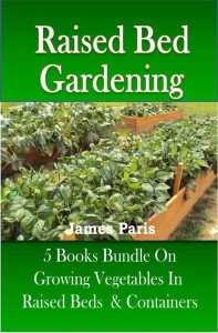 Small Space Garden Ideas Book(40).jpg