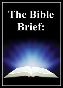 bible summary book