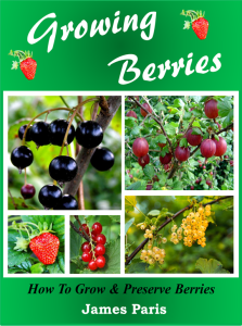 growing berries
